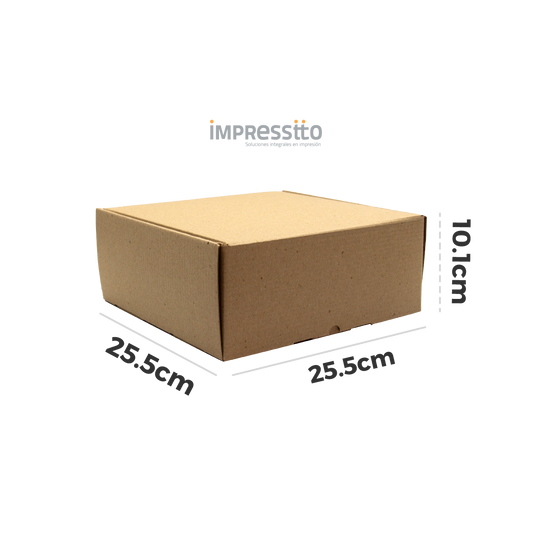 50 Cajas de Cartón (25.5 cm x 25.5 cm x 10.1 cm)